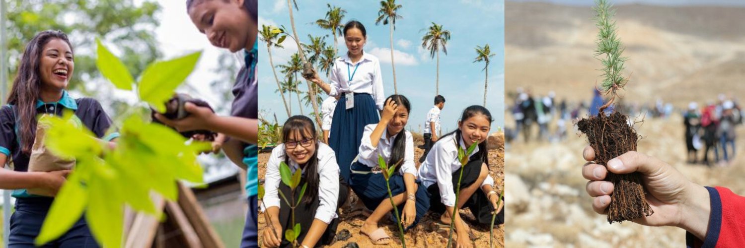 UNDP AltFinLab banner