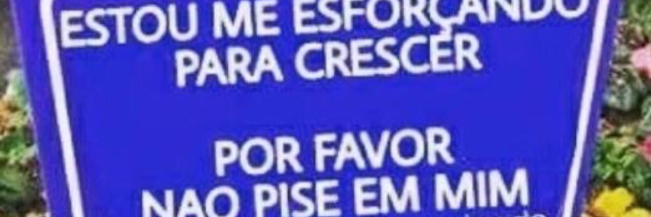 guuiimeireles's profile banner image
