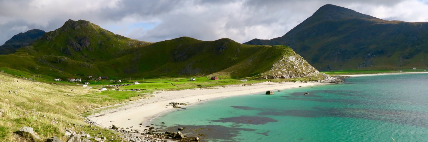 Kim Lewis 💙 banner