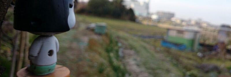 DieLeoRea's profile banner image