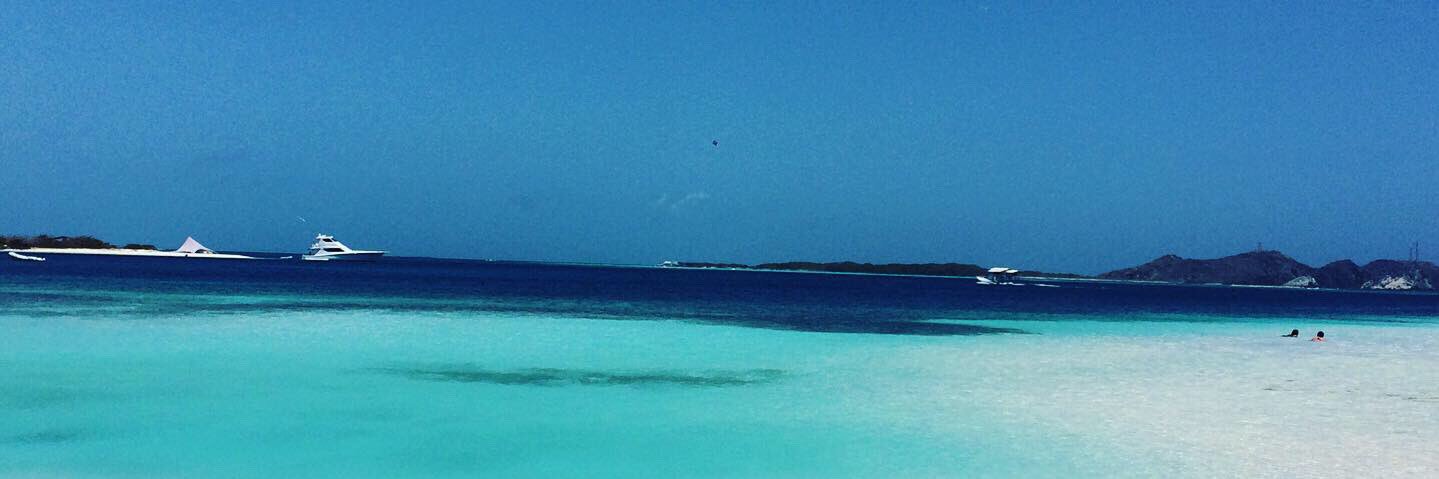 Daniel Rodriguez del Villar banner