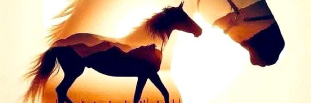 i_sa971's profile banner image
