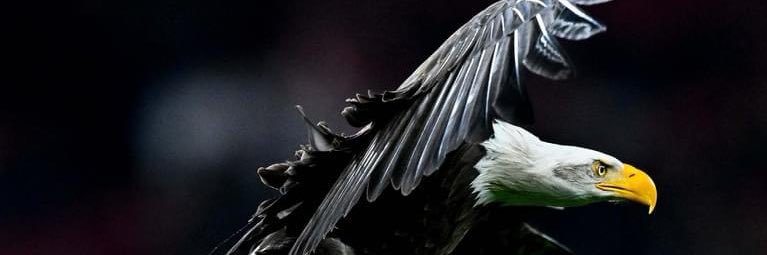 Diman banner