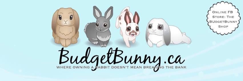 BudgetBunny's profile banner image