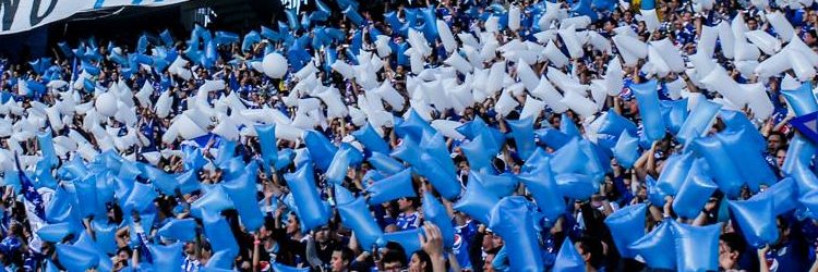 🏆 Feli Ⓜ️ banner