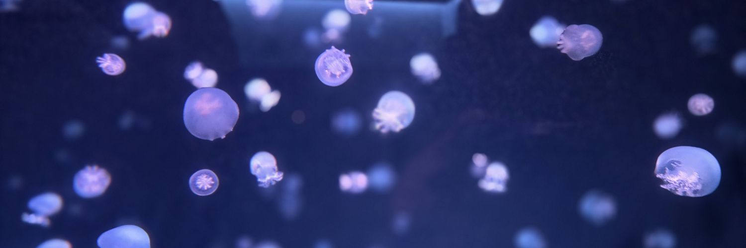 春路 banner