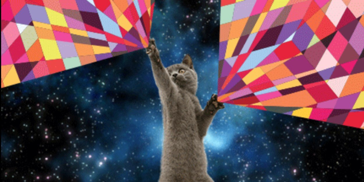 Monda  Italiana banner