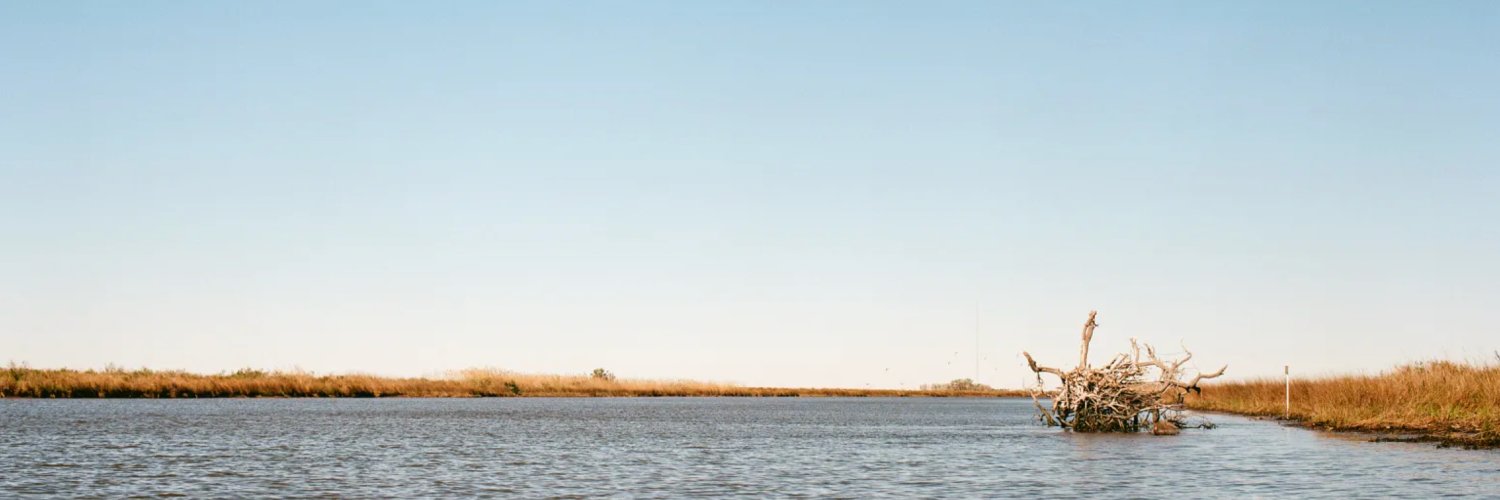 Lorena O'Neil's banner