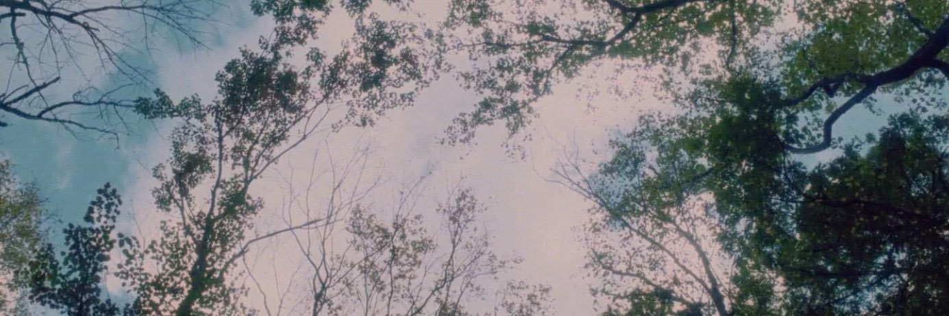 teddytied's profile banner image