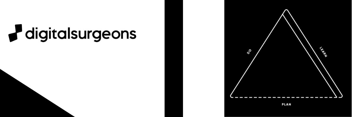 David Salinas banner