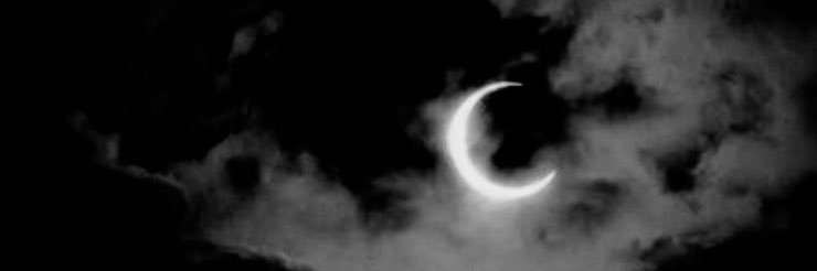 ⁫ ⁫ ⁫ ⁫ 𖤐 ﾟ⋆ ⁫ ⁫ʷᵒˡᶠ 𝐊𝐈𝐍𝐆. ⁫ ⁫ ༝ 𐕣 ⁫ banner