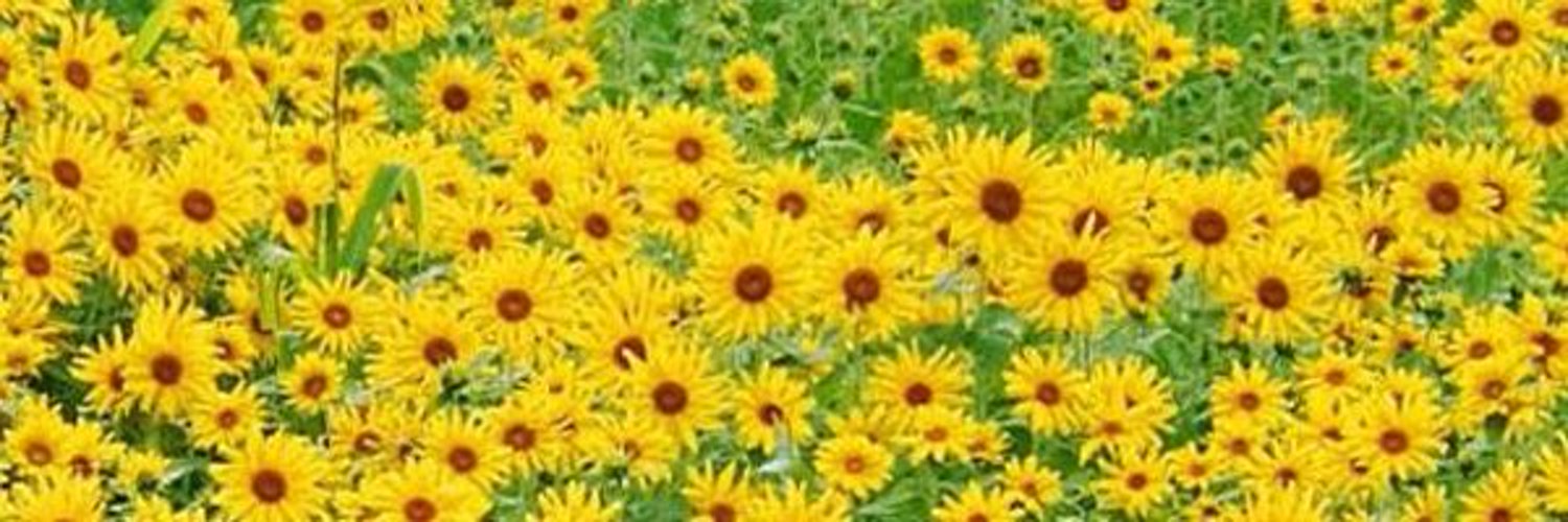 Uuj8a6's profile banner image