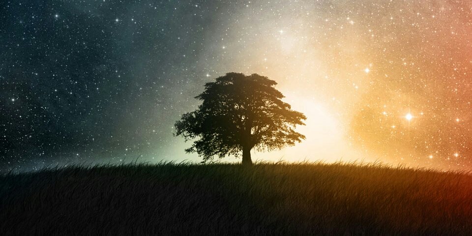 LucAndronicus's profile banner image