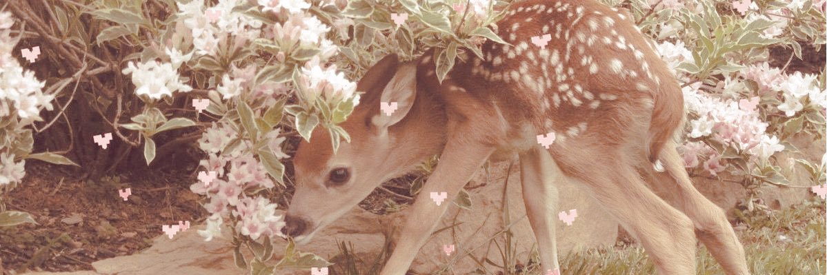 teddi 🧸(hiatus, busy w/ finals!) banner