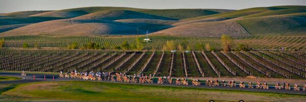 podiuminsight Profile Banner