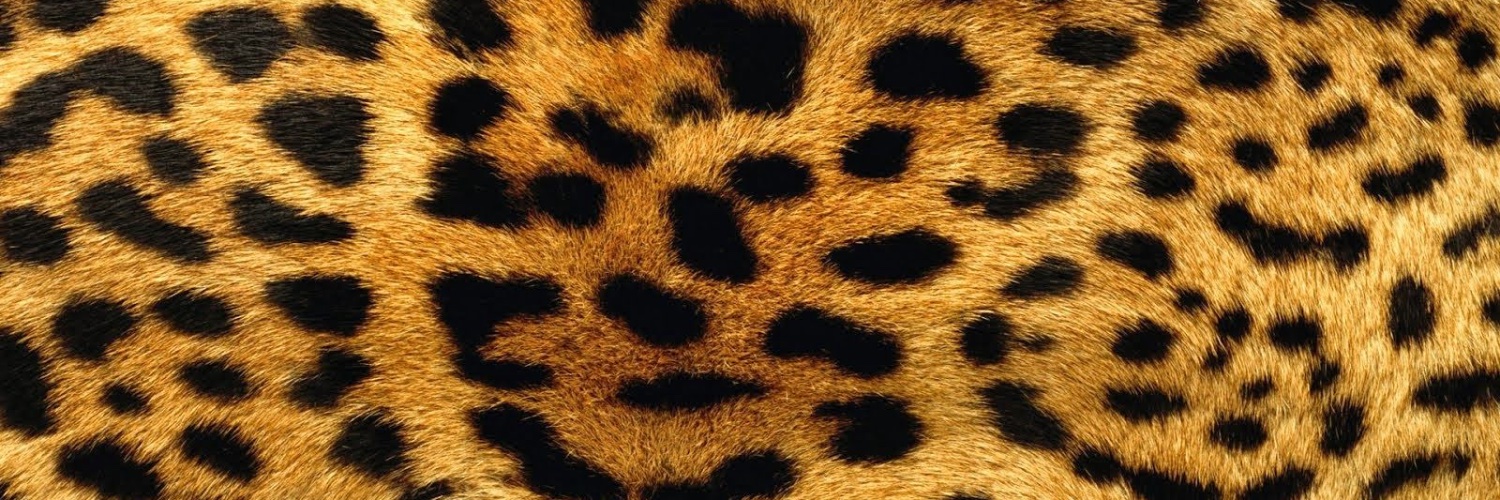 _nexusj's profile banner image