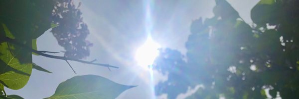 Mama__B Profile Banner