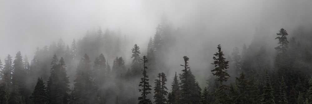 katanadya's profile banner image
