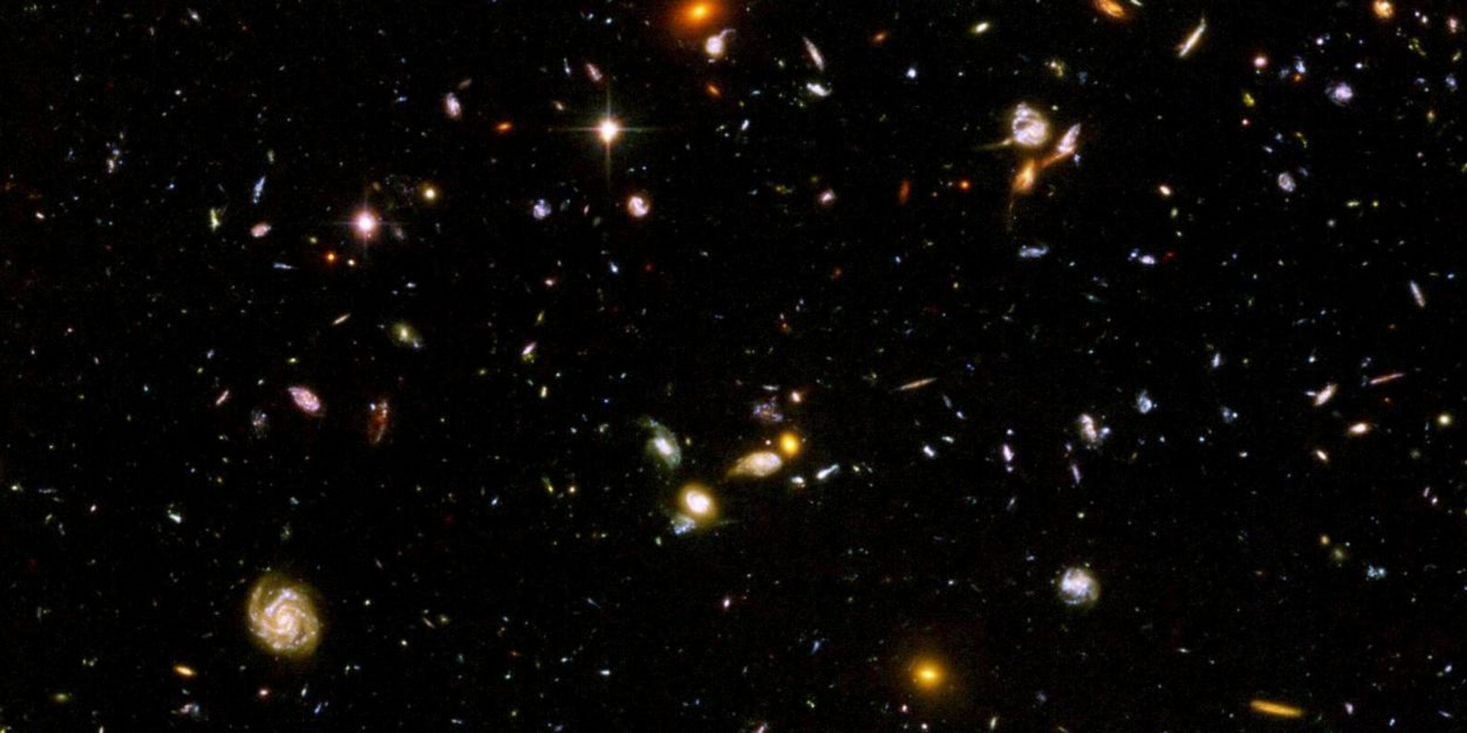 Arkady English banner