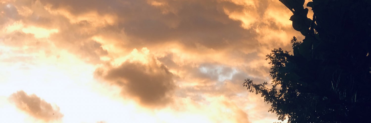 ceecipon's profile banner image