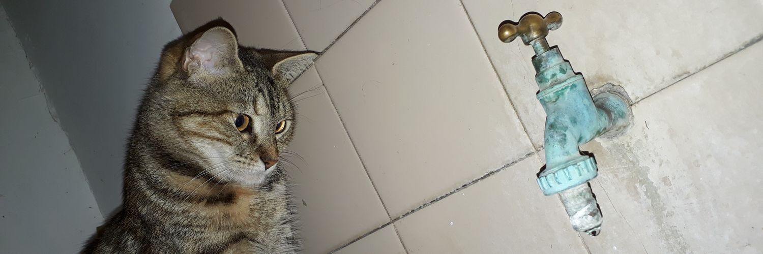 Chorch y Pipinas (En la equi') banner