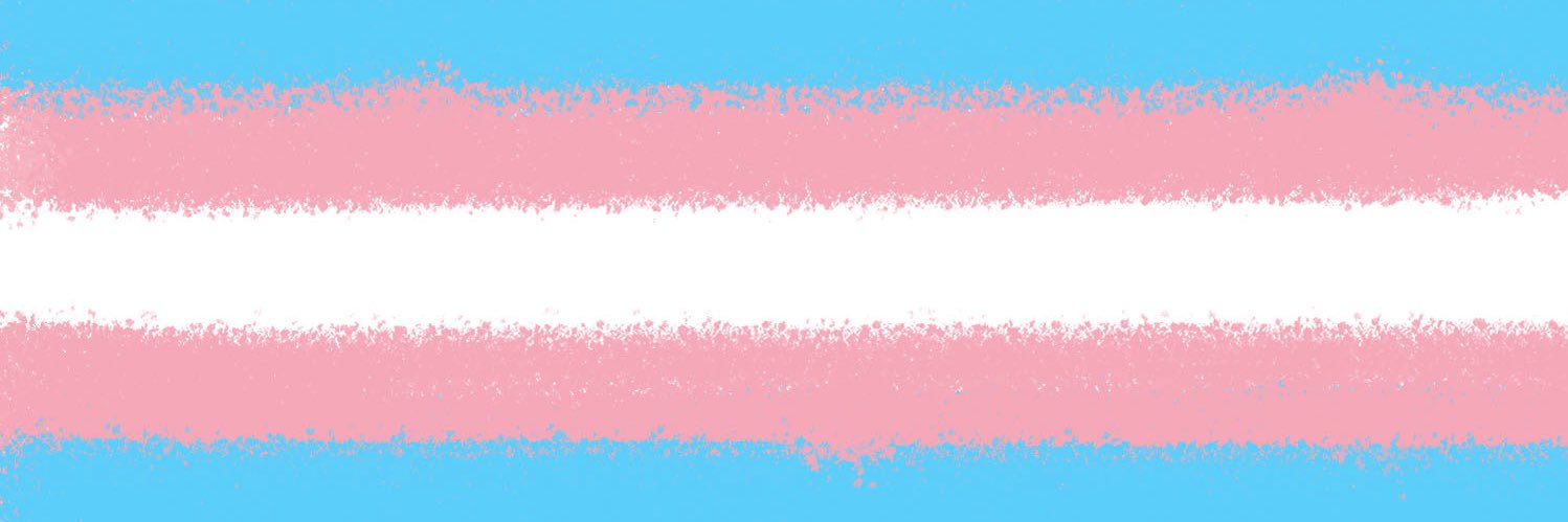 Trans_Safe_'s profile banner image