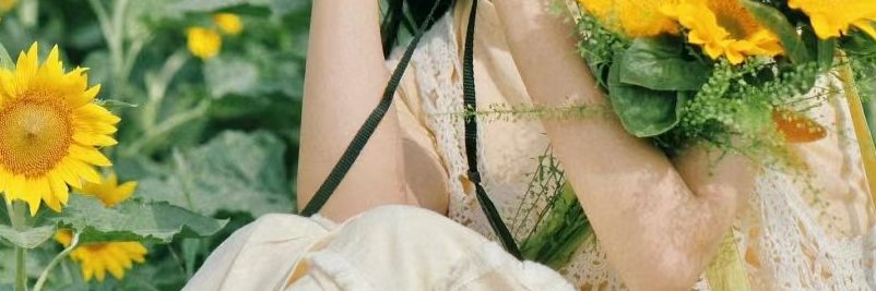 Shelton Livia banner