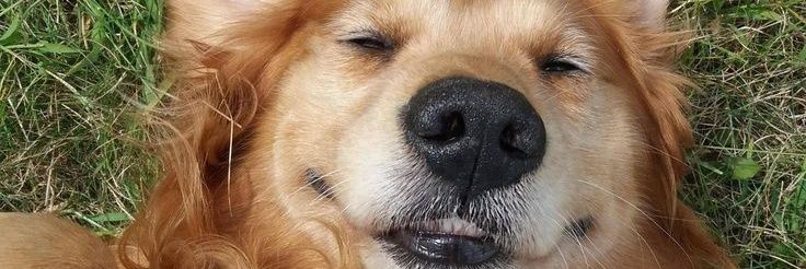 juliandaaa's profile banner image