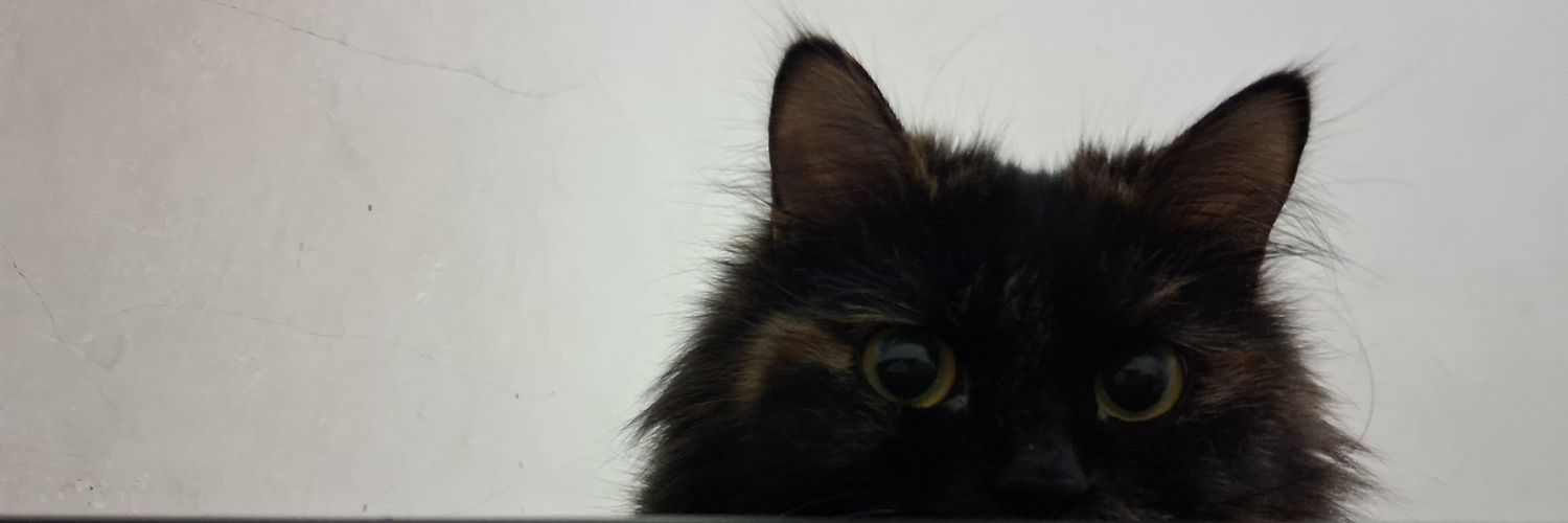 Kennedithem's profile banner image