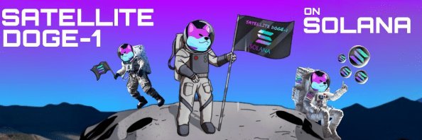 $Doge-1 banner