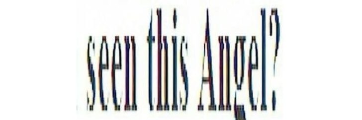 𝐿𝒶𝓁𝒶𓍢ִ໋❀˚ banner