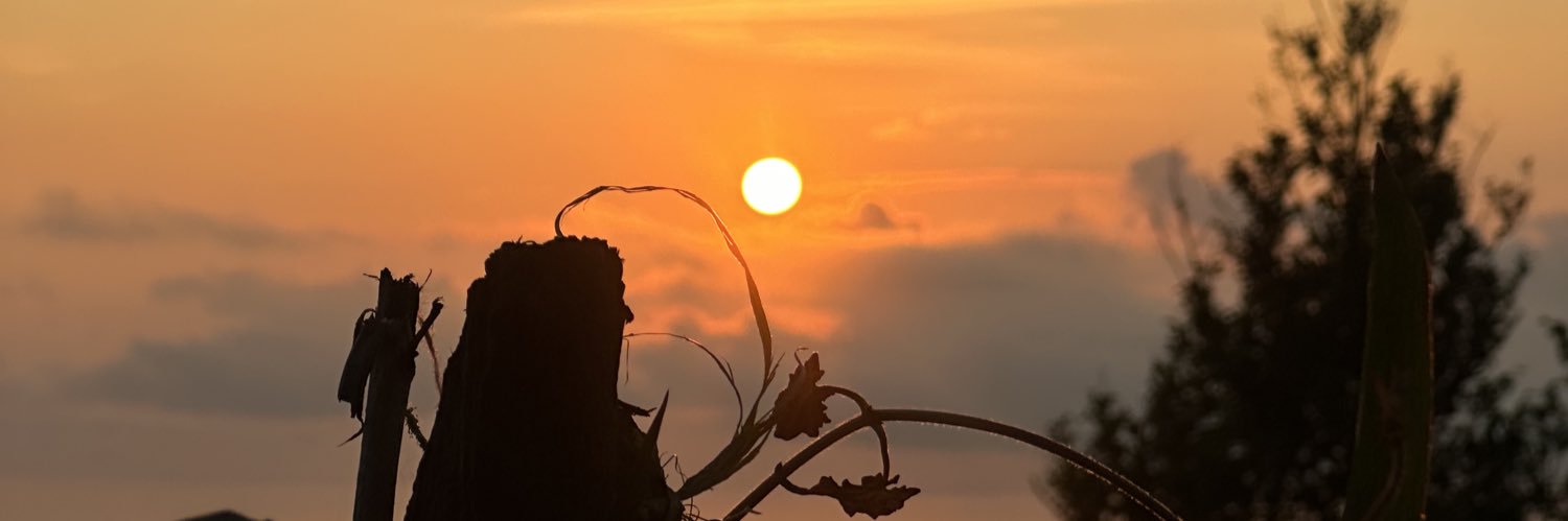 loviantes_'s profile banner image