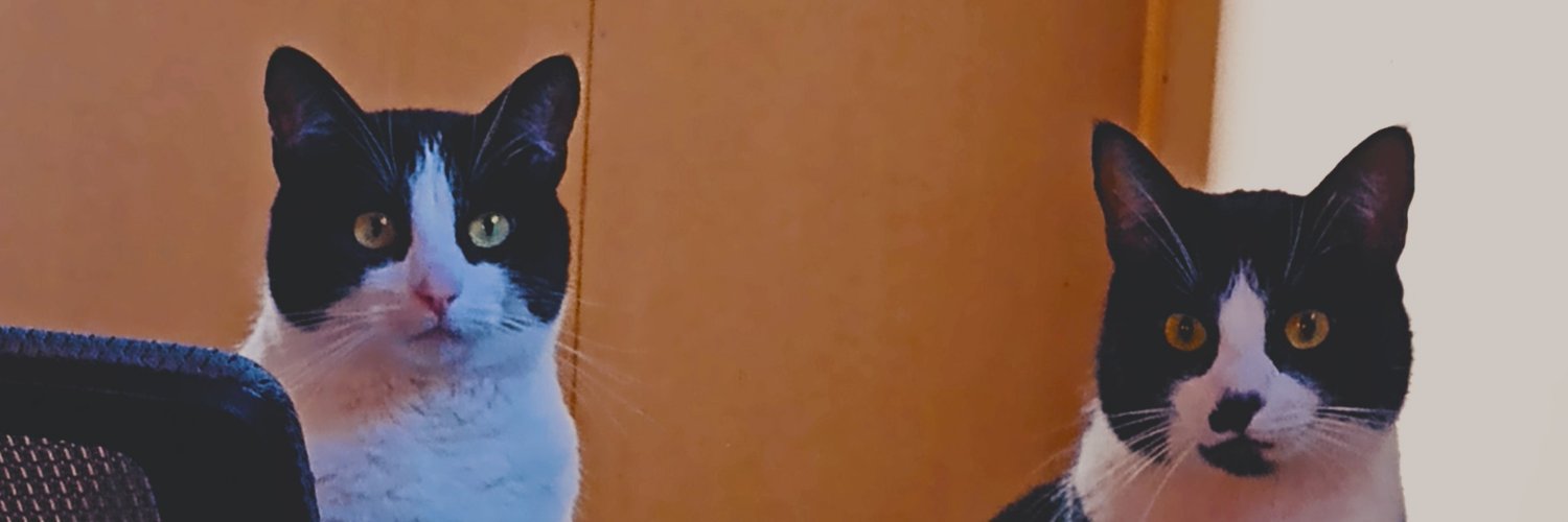 Sunraefael's profile banner image