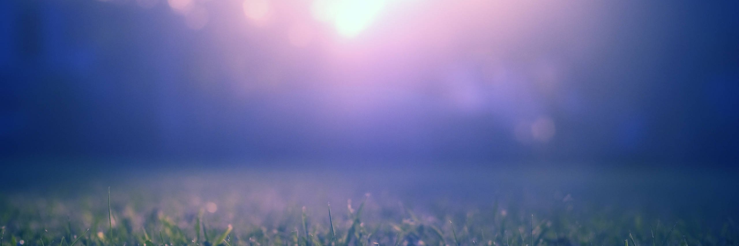 luispsousa's profile banner image