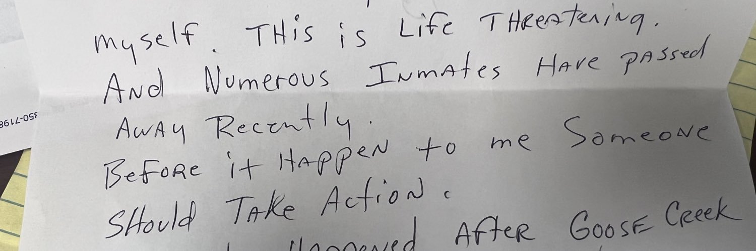 Megan T. Edge banner