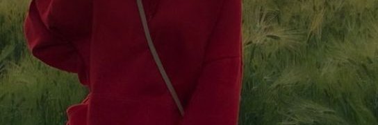 Larson Amanda banner