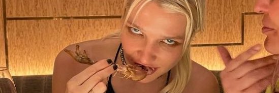 devilm4ycrie's profile banner image
