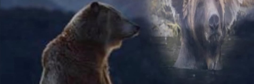 Leaves Fall🍃 banner