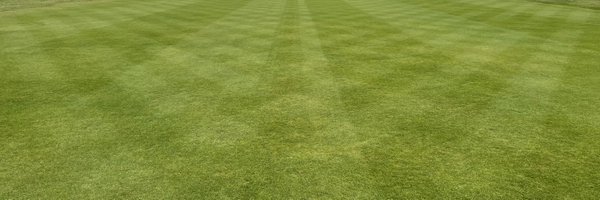 MrNeet Profile Banner