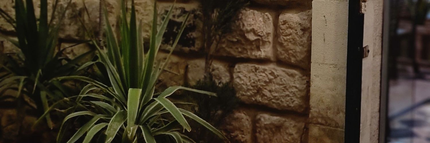 سِيرِين banner