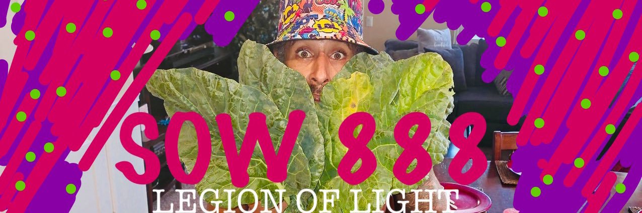 SOW 888 banner