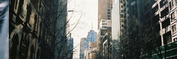 🐈‍⬛ banner