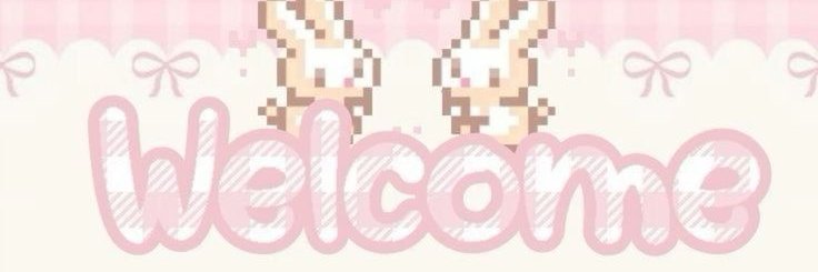 crystal’s core ♡⋆𐙚₊˚ banner