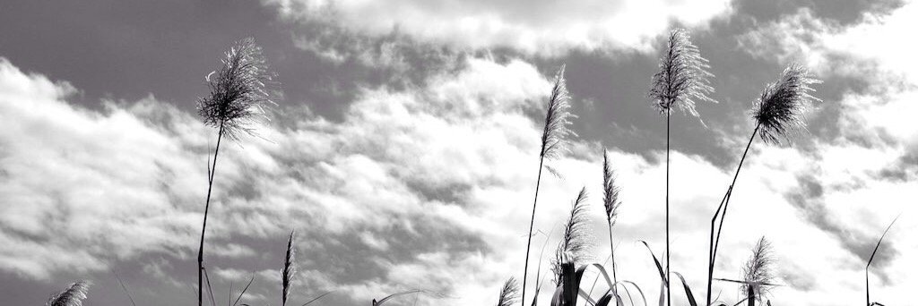 Larzen118's profile banner image