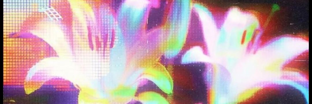 Elyss; banner