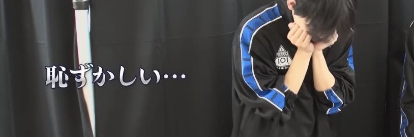 ぽろ♡シンワンズ🐶🍼 banner