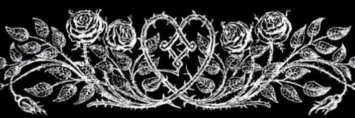iltrxj's profile banner image