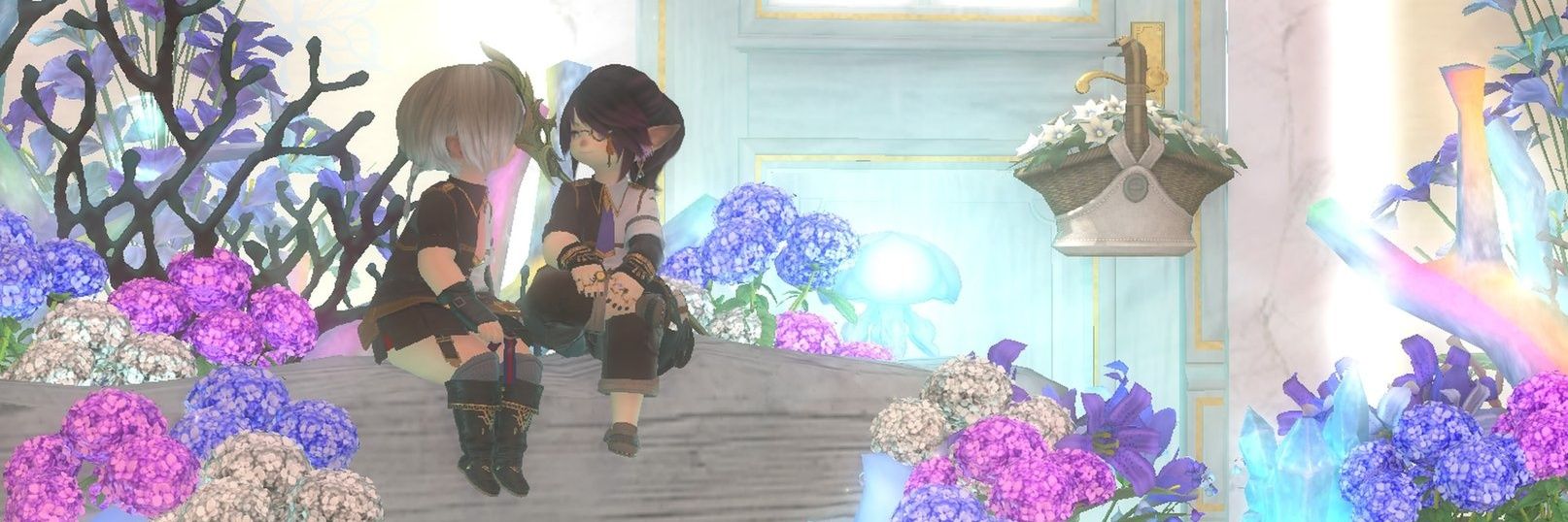 tomaormff14's profile banner image
