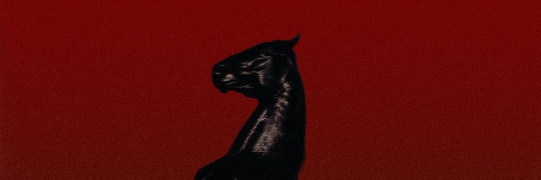 Dailycognitive banner