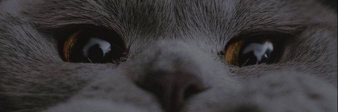 Noomainingny banner